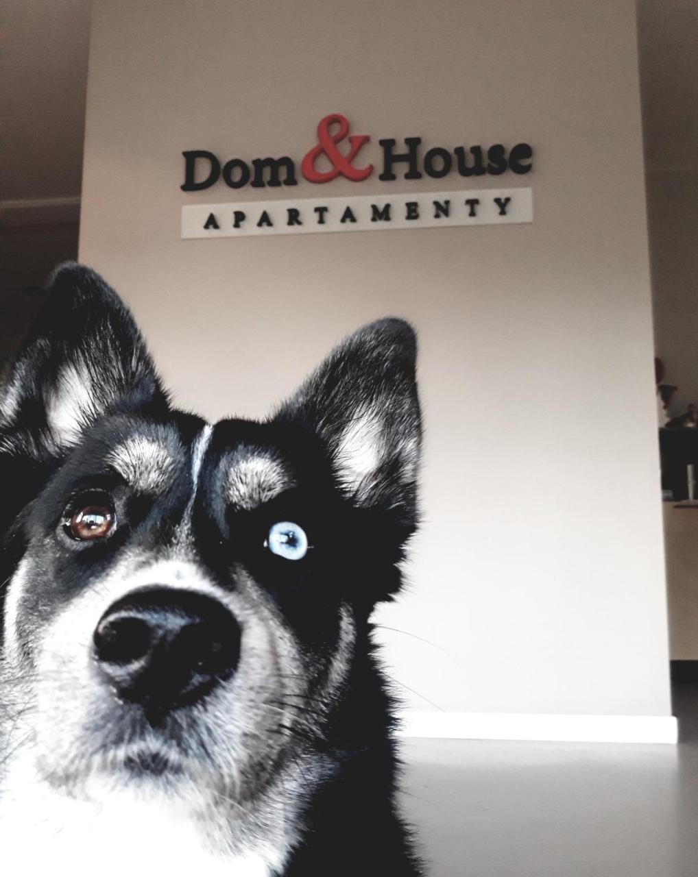 גדנסק Dom & House - Apartments Waterlane Island מראה חיצוני תמונה
